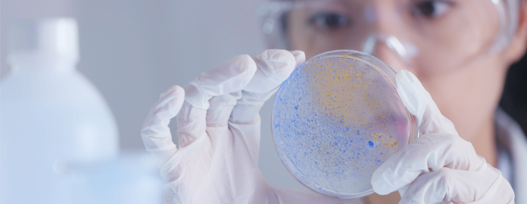#3 U.S. Biopharma Custer