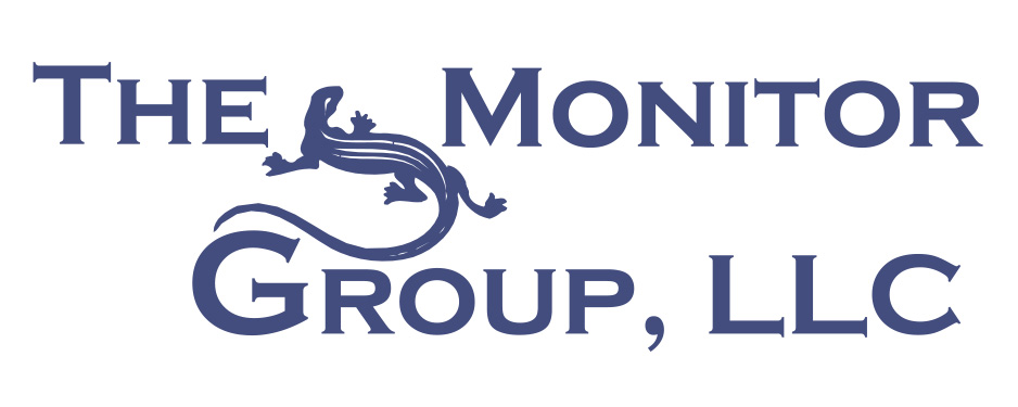 Business Spotlight: The Monitor Group, LLC