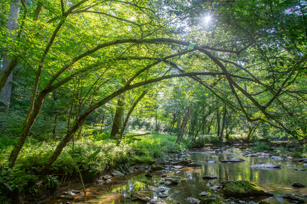 Rockville Recognized as an “Underrated Gem for Nature Lovers” by WorldAtlas